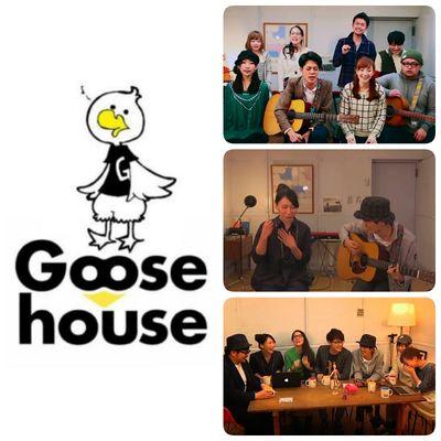 東京住み20歳 大学生/身から出た唄リリイベ/はじまりはじまりツアー新潟参戦！/ハウスメイトさんともっと仲良くなりたい！フォローお願いします♡