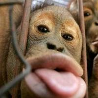 peter kay (@asanguineook) 's Twitter Profile Photo peter kay (@asanguineook) 's Twitter Profile Photo