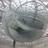 CarolaWesbuer's profile image