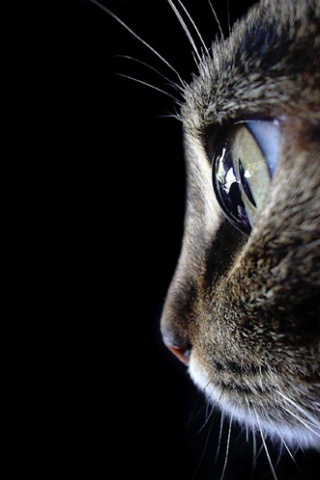 china0110's profile picture. 