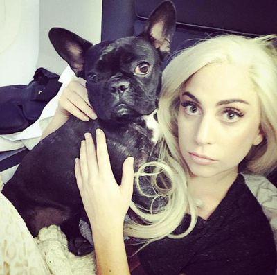 ☹☹☹ i live for @ladyGaga ☹☹☹