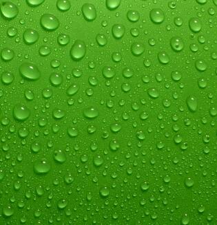 mate2tema's profile picture. 