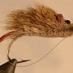 2015flies's profile picture. am a fly tier from 1997,i own a company of 60 tiers