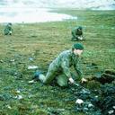 dan newbold - @dannewbold1 - Twitter