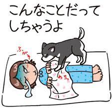 高校のあるあるを呟いていきます！   フォローよろしくお願いします