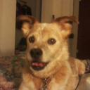 Terry Head - @head_th - Twitter