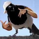 Dan Bender - @Menacex911 - Twitter