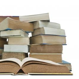 Book Blogger: Newbie