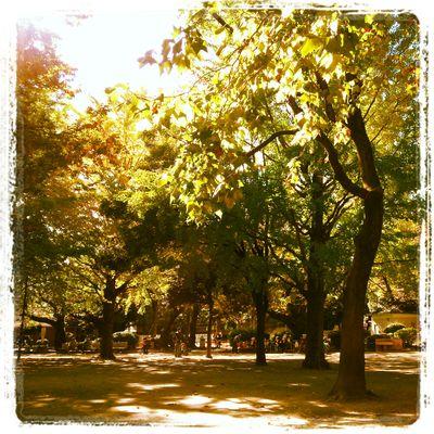 Tourmailine77's profile picture. 邦ROCK好き🎸tricot/FINLANDS/きのこ帝国/佐藤千亜妃/羊文学/theHIATUS/MONOEYES/ayutthaya/赤い公園/17歳とベルリンの壁