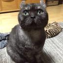 まほ (@0106cmh) Twitter