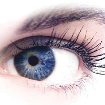 Discover the world to your eyes