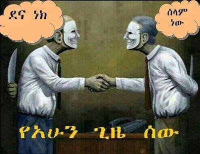 firaol_sultan's profile picture. 