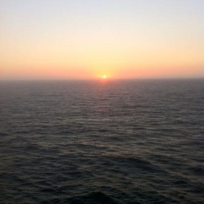 GMicalella's profile picture. 