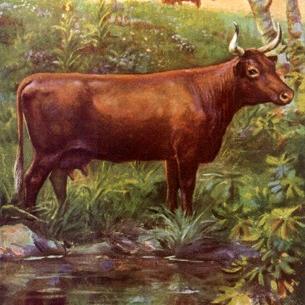 265Izabella's profile picture. 