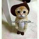 luis granados (@11luistorey) Twitter