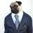 NutelloThePug's profile image