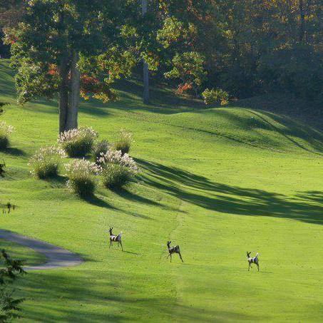 Great public golf club in West Harrison, IN. Beautiful course to challenge all skill levels.