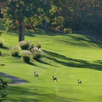 Grand Oak Golf Club (@grandoakgc) 's Twitter Profile