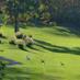 Grand Oak Golf Club (@grandoakgc) Twitter profile photo