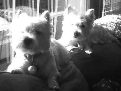 349_513's profile picture. 