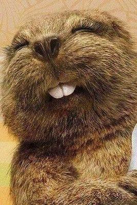 Ahimsa_east's profile picture. La persona que creo que soy ha estado tratando de asesinar a la persona que soy en realidad desde el nacimiento de ambas