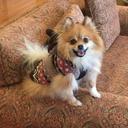 Glenn Gates - @nnelg1233 - Twitter