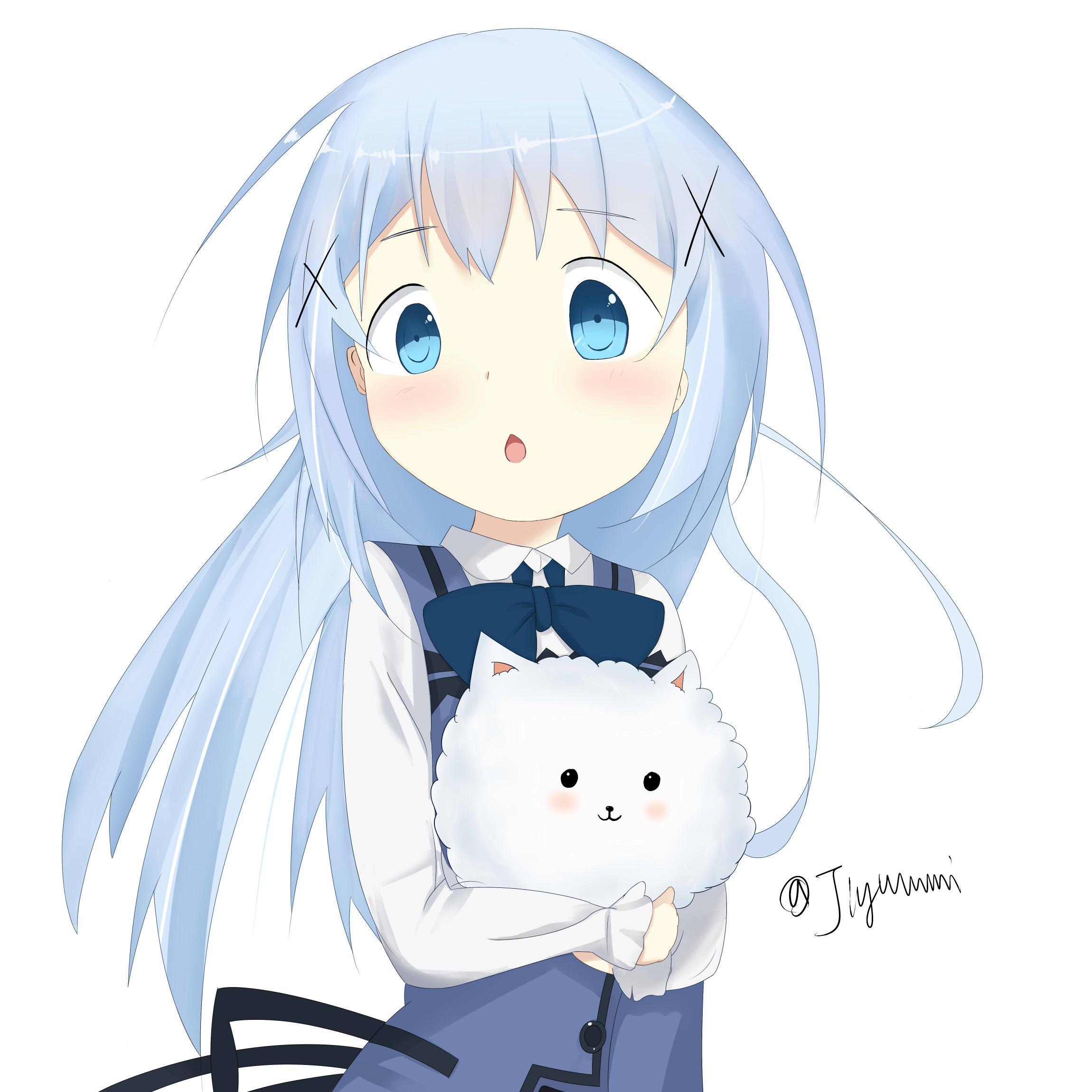 🐱🐱🐱