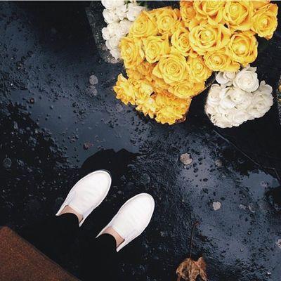 ‏‏‏عيشوآ بقلب آبيض ونيهَ حسنہ ف ليس علىَ آلدنيآ بقآء.