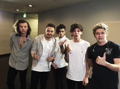 ''To a lot of people it's just a bunch of silly kids in a band but to the people involved it means so
much more.'' - Liam James Payne-