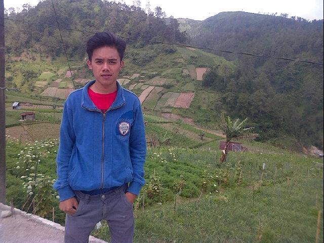 STK
