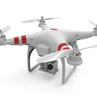 WillVsWild's profile picture. 