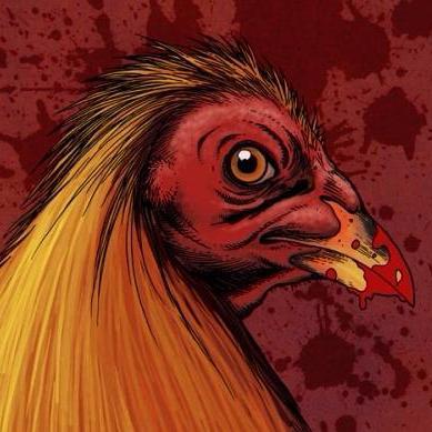 Carbato's profile picture. 