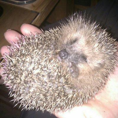 HauckKatja's profile picture. 