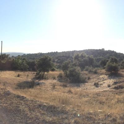 Yanika081's profile picture. 