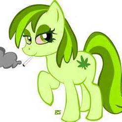 Born as a bastard. In a country that doesn't exist any more. With a gender that did not have a name yet. #420Sec #UntilEveryCageIsEmpty she/her