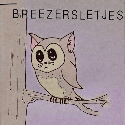 Breezersletjes's profile picture. Breezersletjes are an Indie/Punk/Noise-Pop band from Leeds/Whitby. Proper recordings soon. http://t.co/7RhNPVCSt2