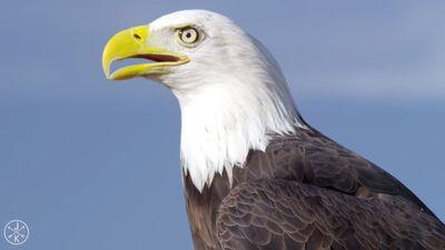 b1boss17's profile picture. 