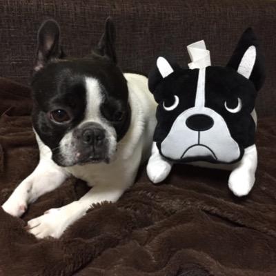 あいち