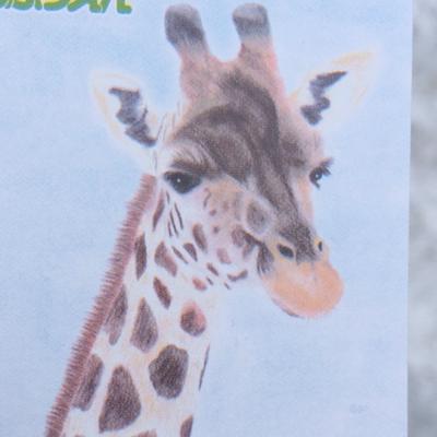 手洗いしまくるがんばれないさん