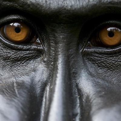 SANParks_Crap's profile picture. SANParks reckless management exposer.