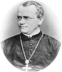 Monje agustino de origen austriaco / Padre de la genética / Puto amo