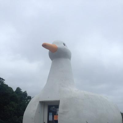 patrfinn's profile picture. 