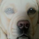 Tim Hanley - @f601e5a565ba4f0 - Twitter