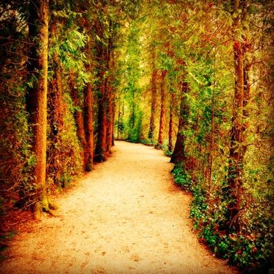 CarliGiulia's profile picture. supercalifragilistichespiralidoso