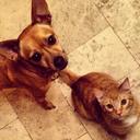 Mark Carrion - @ktchopiestixDy - Twitter