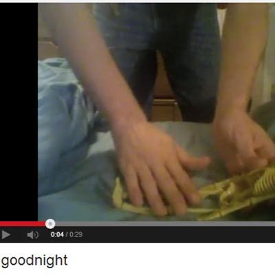 gO0dni_gHt's profile picture. inactive