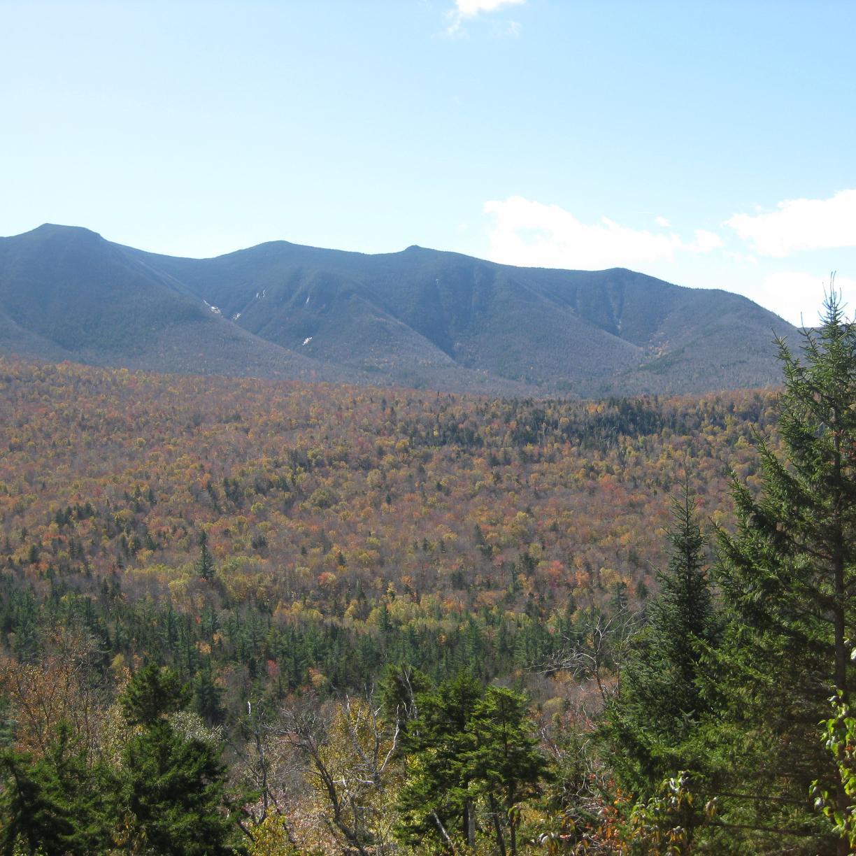 peush_me's profile picture. Head, Department of Medical Oncology Manipal Hospitals Dwarka New Delhi