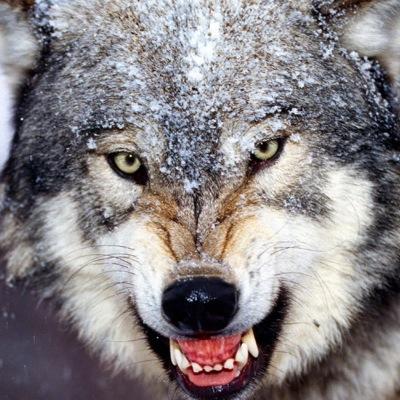 Jason67966035's profile picture. 