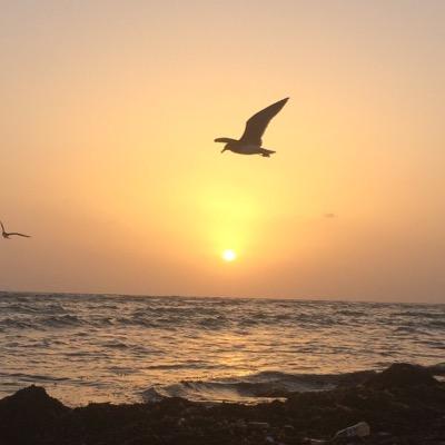 دامك دخلت اذكر الله ٠- سبحان الله وبحمده سبحان الله العظيم -.