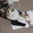 kat_otis's profile image